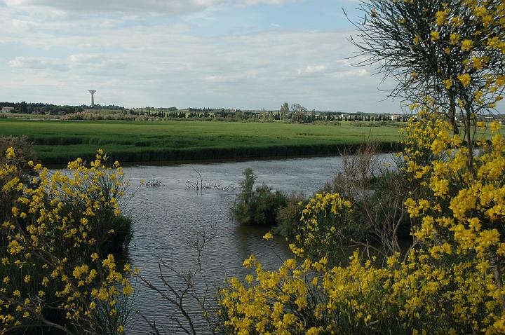 camargue (13)
